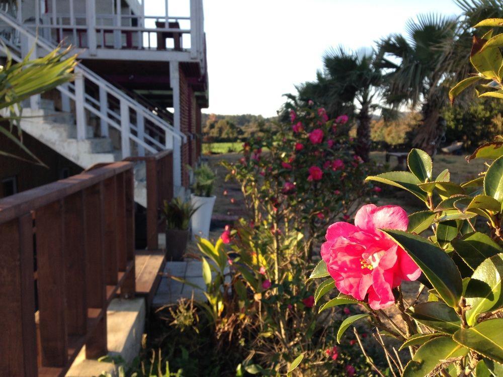 Clover B&B Seogwipo Esterno foto